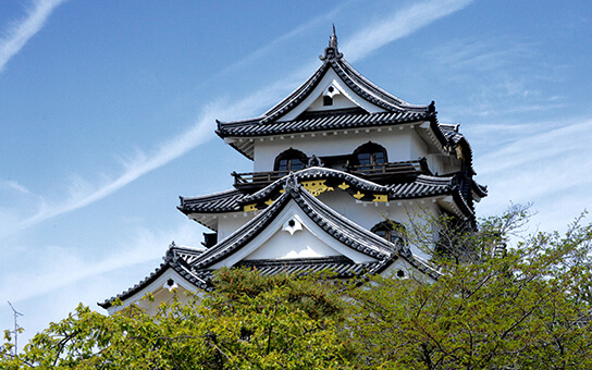 National Treasure – Hikone Castle (Hikone)