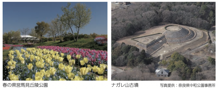 <font size='2' color='blue'>Left:Nara Prefectural Umamikyuryo Koen park</br>Right:Nagareyama Tumulus</font>

