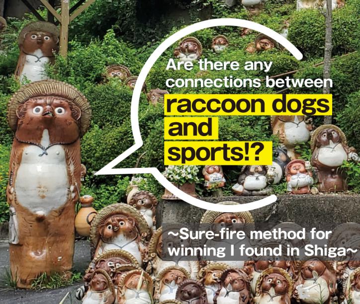 Are there any connections between raccoon dogs and sports!?
-Sure-fire method for winning I found in Shiga-