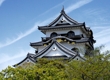 National Treasure – Hikone Castle (Hikone)